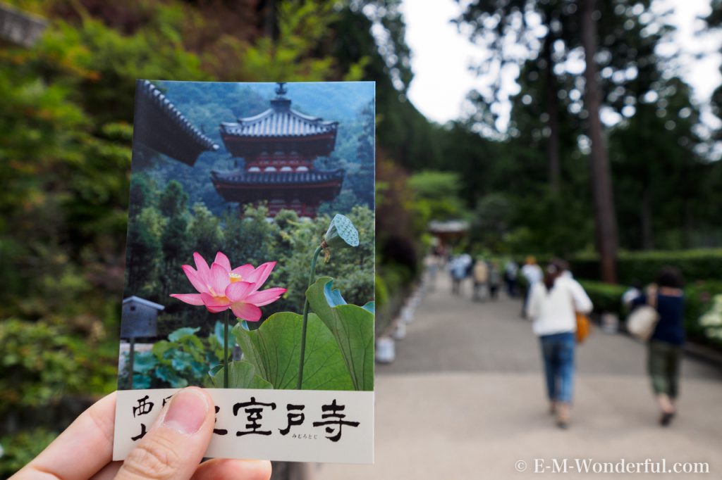 20160611 P6110015 1024x682 - 京都のあじさい寺、三室戸寺に行ってきました~その1~