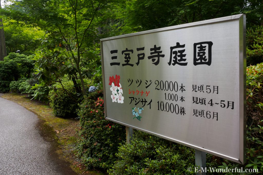20160611 P6110102 1024x682 - 京都のあじさい寺、三室戸寺に行ってきました~その1~