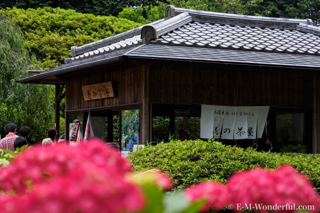 20160611 P6110442 1024x682 - 京都のあじさい寺、三室戸寺に行ってきました~その2~