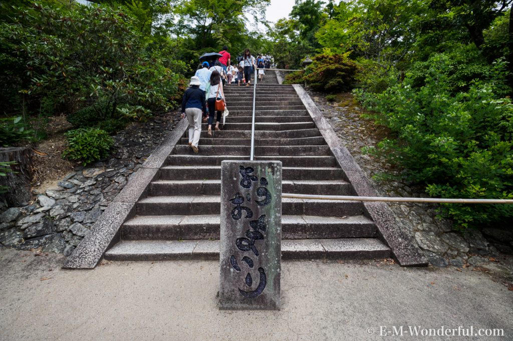 20160611 P6110489 1024x682 - 京都のあじさい寺、三室戸寺に行ってきました~その1~