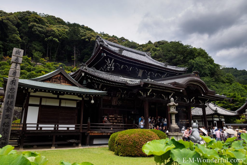 20160611 P6110531 1024x682 - 京都のあじさい寺、三室戸寺に行ってきました~その1~