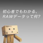 b24ee44bbb299f82ee841148af3b5326 150x150 - 初心者でもわかる、RAW現像ソフトの種類~RAW現像のススメ~