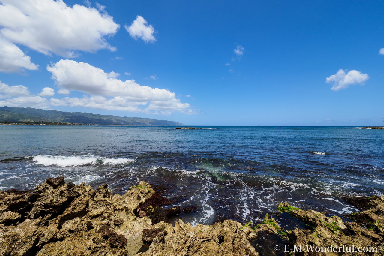 初めてのハワイ旅行 オアフ島一周観光ツアーに参加しました E M Wonderful