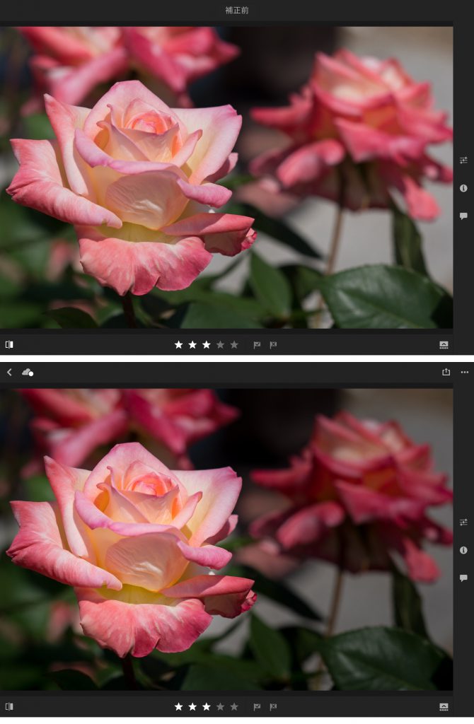 IMG 0108 670x1024 - iPad ProでAdobe Photoshop Lightroom CC モバイル版を使ってみました