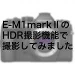 f0d207513e92d06e72420b9bc224f1b1 1 150x150 - E-M1 Mark ⅡのHDR撮影機能（HDR1・HDR2）で撮影してみました