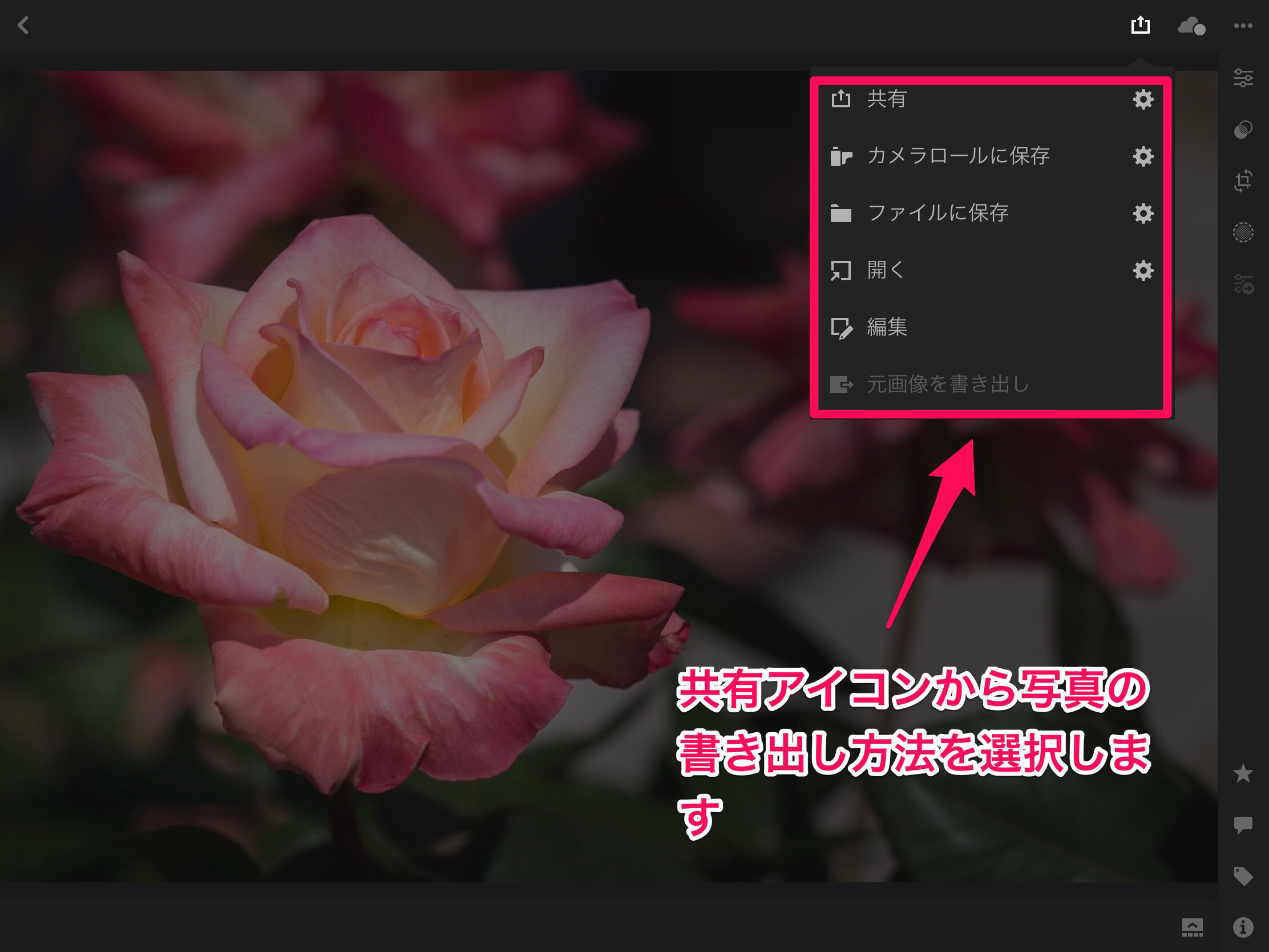 Lightroom CC モバイル版で透かし（ウォーターマーク）入れる方法 