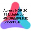 Aurora HDR2019 100x100 - パナソニック S1RとGH5SとG９の比較画像が掲載