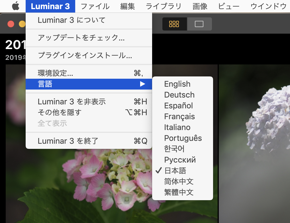 70971e093355011afc8527705a151f2d - 起動時間が高速化された、Luminar 3.1.1がリリースされました