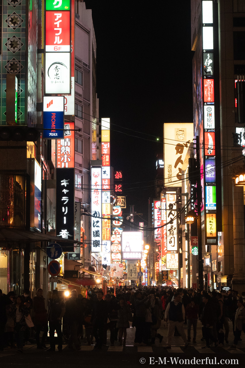 東京のネオン街をイメージした Luminar Looks Neon Tokyo ネオン トーキョウ レビュー E M Wonderful