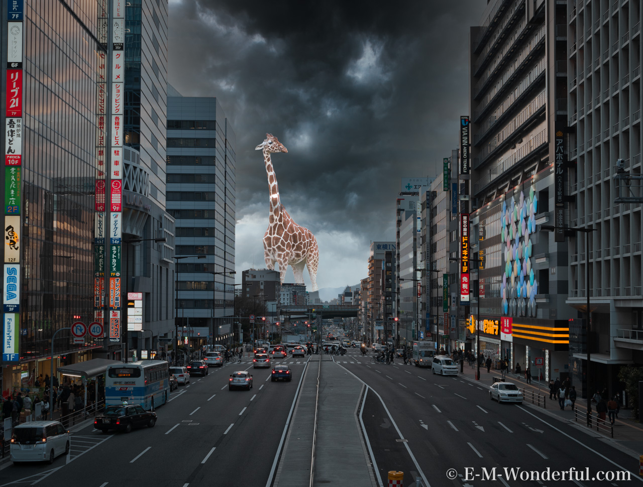購入から使い方まで全て解説、Luminar 4 レビュー(割引クーポンあり) 20190104 P1040531 Edit Edit - 購入から使い方まで全て解説、Luminar 4 レビュー(割引クーポンあり)