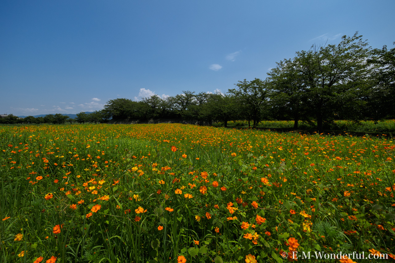 20160731 P7310593 1 - Luminar VS Photoshop 空を置き換える機能、スカイリプレースメントを比較