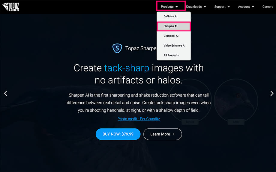 Sharpen AI1 - クーポン付き!Topaz Sharpen AIの使い方&レビュー|画像シャープネス処理アプリ