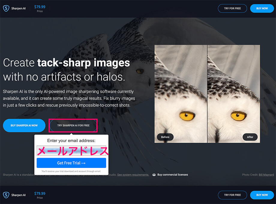 Sharpen AI2 - クーポン付き!Topaz Sharpen AIの使い方&レビュー|画像シャープネス処理アプリ