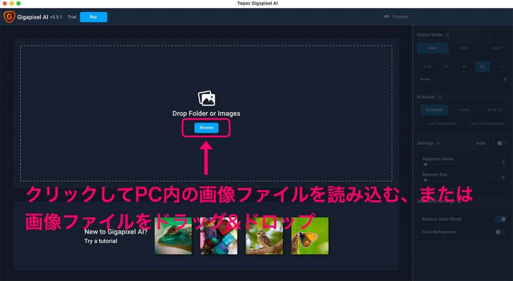 0b6266aac4a5468f86e3adee31252510 1024x562 - 15%OFFクーポン付き! Topaz Gigapixel AI レビュー|画像解像度拡大ソフト