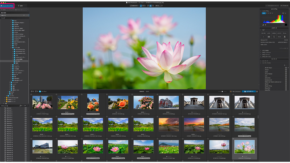 2025 09 06 16.36.59 - DxO PhotoLab レビュー【2025年】セール情報・無料体験版・機能や使い方を解説|ELITE版