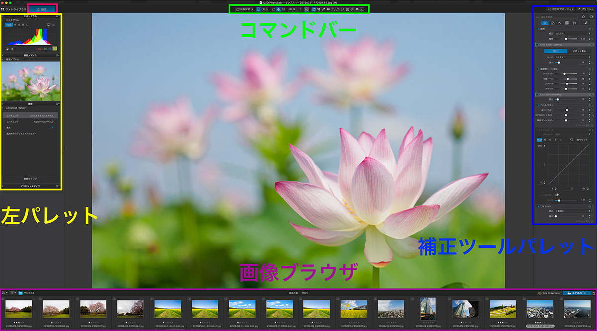 2025 09 07 4.58.27 - DxO PhotoLab レビュー【2025年】セール情報・無料体験版・機能や使い方を解説|ELITE版