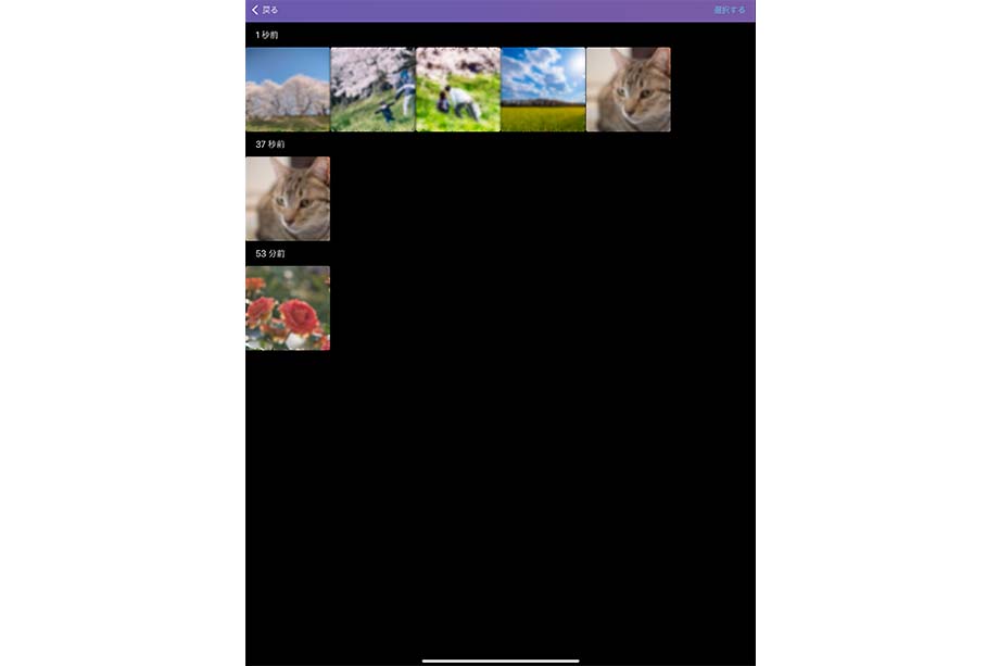 IMG 1503 - Luminar Shareの使い方｜デスクトップ・モバイル写真共有アプリ