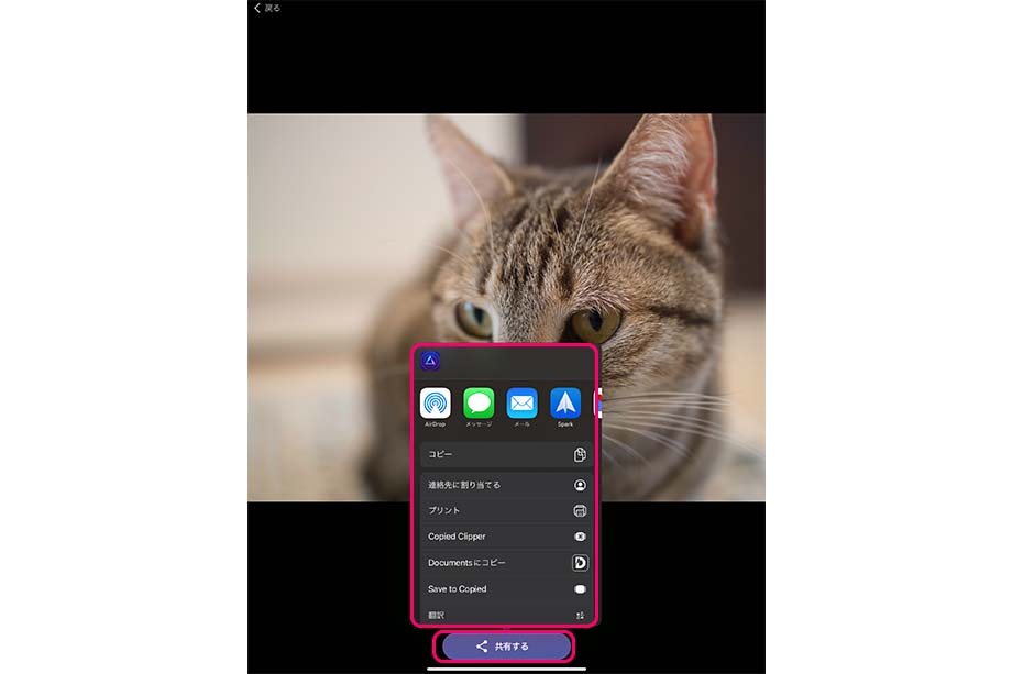 IMG 1505 - Luminar Shareの使い方｜デスクトップ・モバイル写真共有アプリ
