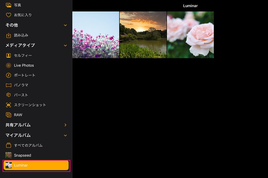IMG 1627 - iPad用 Luminarの使い方と機能を紹介【RAW現像・AI補正・写真フィルター・スカイ AI】