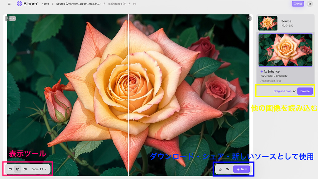 2025 07 27 20.45.10 - 【Topaz Bloom】使い方や無料プランを紹介｜AI デジタルアートのディテール強化アプリ