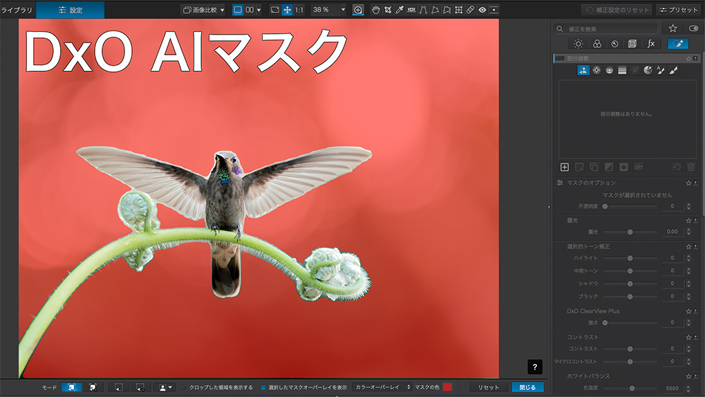 2025 08 30 16.50.14 - DxO PhotoLab 9発売!!新機能や改善点を紹介｜AIマスク・HEIC/HEIF/ProRAW対応