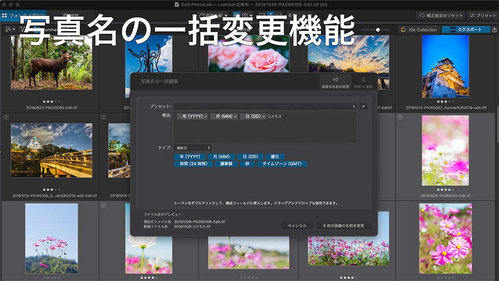 2025 08 31 11.51.42 - DxO PhotoLab 9発売!!新機能や改善点を紹介｜AIマスク・HEIC/HEIF/ProRAW対応