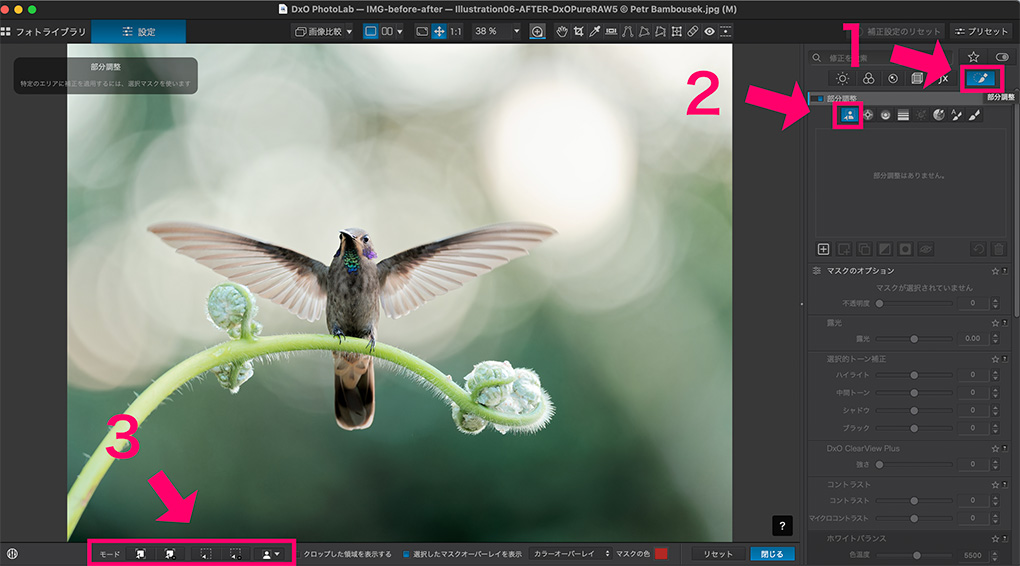 2025 08 31 5.35.32 1 - DxO PhotoLab 9発売!!新機能や改善点を紹介｜AIマスク・HEIC/HEIF/ProRAW対応