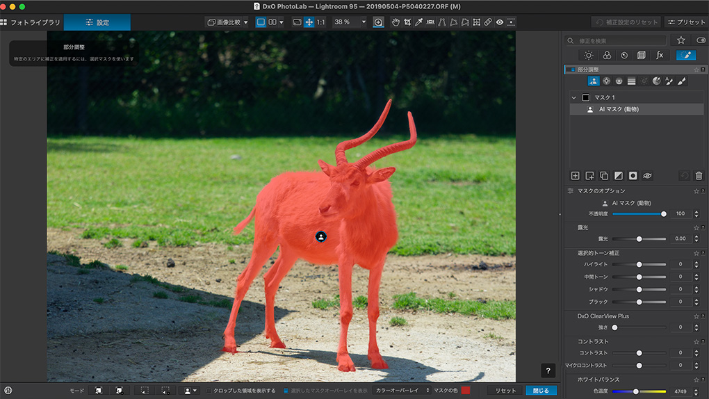 2025 08 31 7.00.51 - DxO PhotoLab 9発売!!新機能や改善点を紹介｜AIマスク・HEIC/HEIF/ProRAW対応