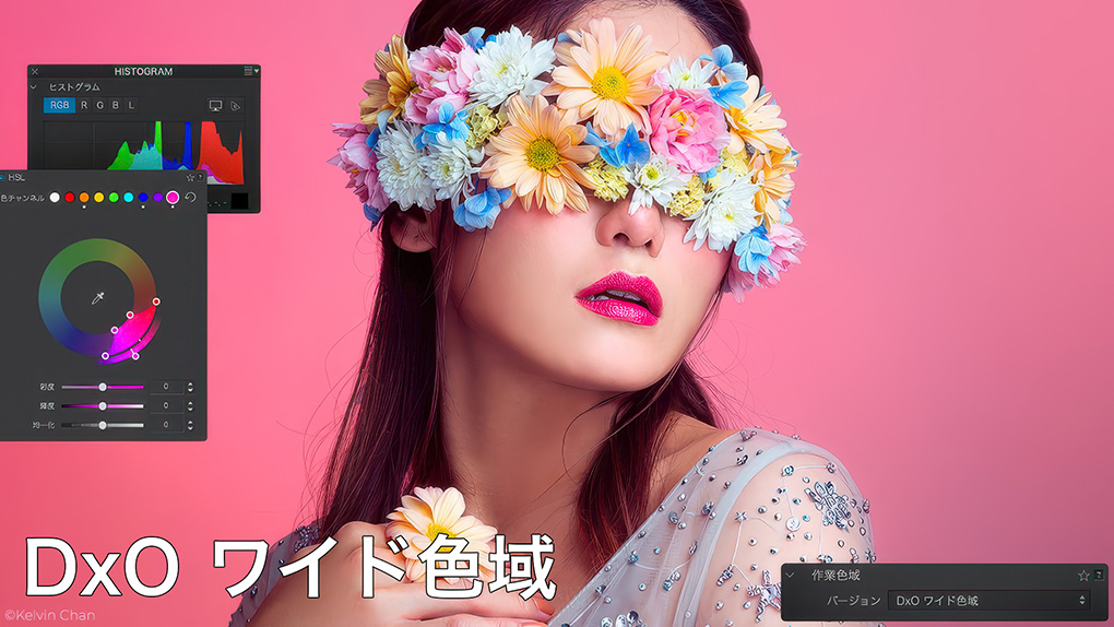 2157c5ce09f24a899f603fa1d6847284 - DxO PhotoLab レビュー【2025年】セール情報・無料体験版・機能や使い方を解説|ELITE版
