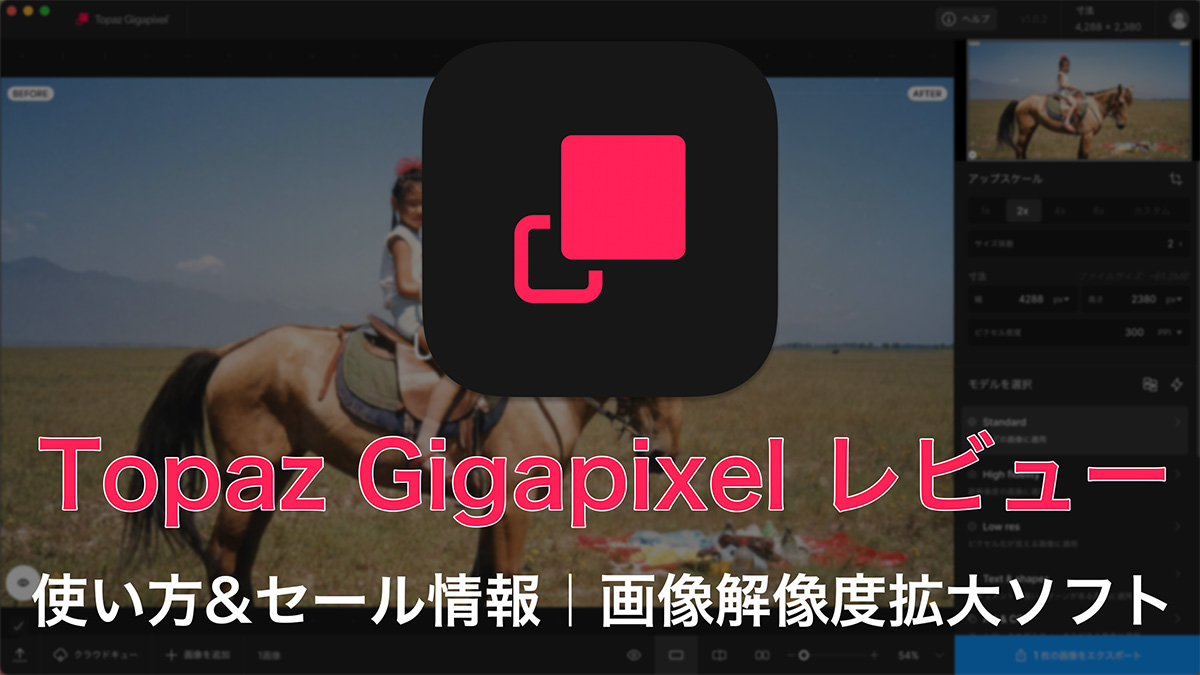2025 09 28 6.53.16 1 - 【2025年】Topaz Gigapixel レビュー&使い方&セール情報|画像解像度拡大ソフト