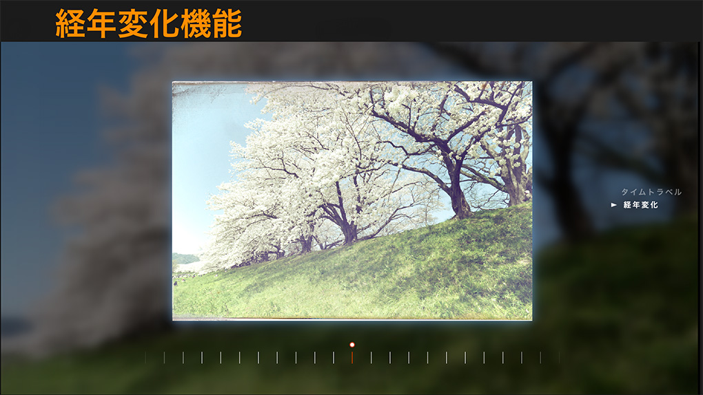 DxO FilmPack 8レビュー|特徴・使い方・無料体験版・購入方法を解説 2025 10 05 13.38.111 - DxO FilmPack 8レビュー|特徴・使い方・無料体験版・購入方法を解説