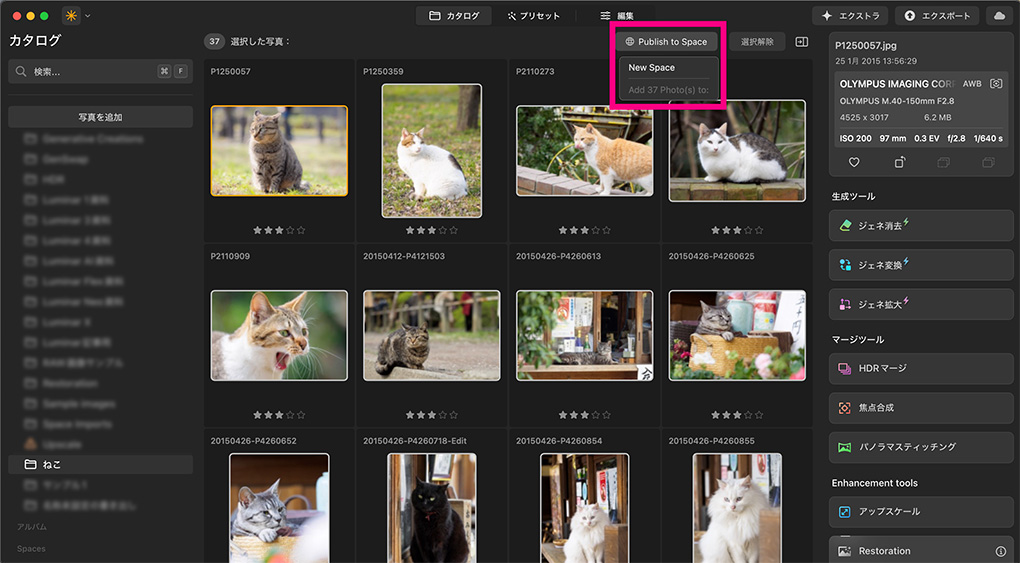 2025 10 27 5.40.07 - Luminar エコシステムの使い方・機能を紹介【編集同期・WEBギャラリー】|バージョン1.25