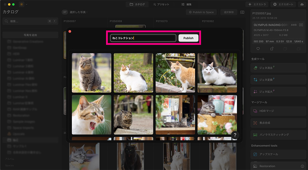 2025 10 27 5.40.30 - Luminar エコシステムの使い方・機能を紹介【編集同期・WEBギャラリー】|バージョン1.25