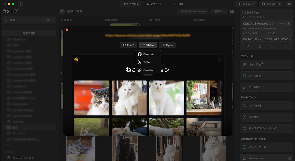 2025 10 27 5.42.51 - Luminar エコシステムの使い方・機能を紹介【編集同期・WEBギャラリー】|バージョン1.25