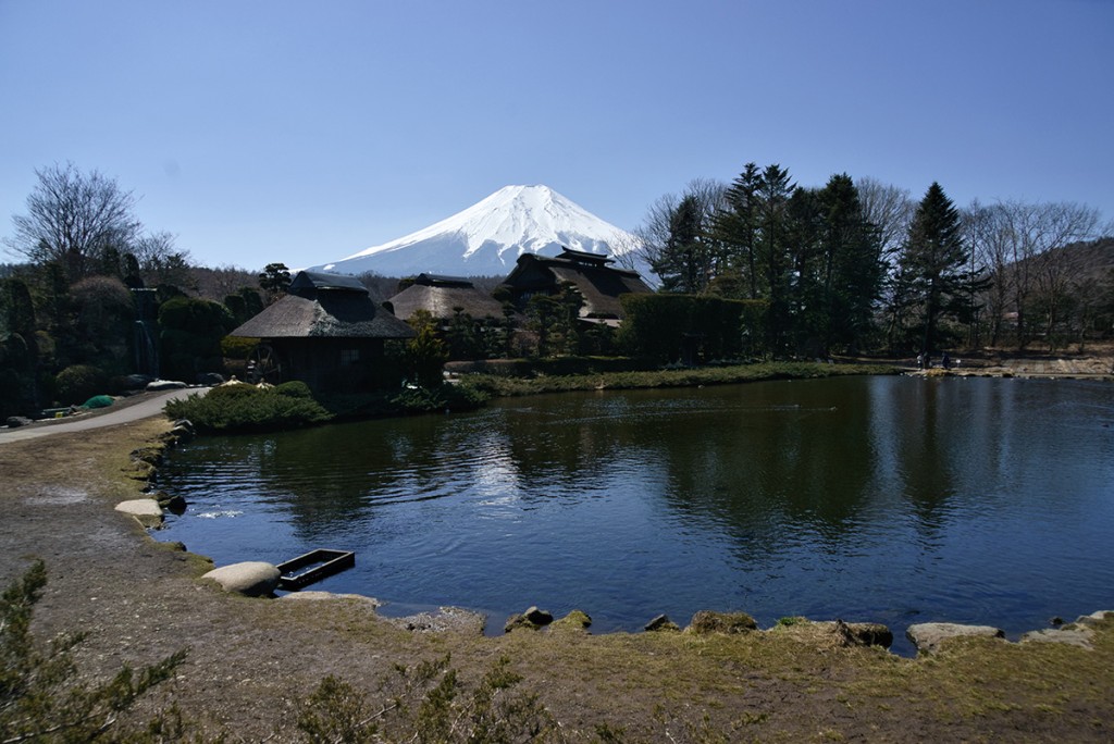 【Luminar Neo 現像ツールとは】初心者のためのアドバイスとおすすめ機能 DSC0180 1 1024x684 - 【Luminar Neo 現像ツールとは】初心者のためのアドバイスとおすすめ機能
