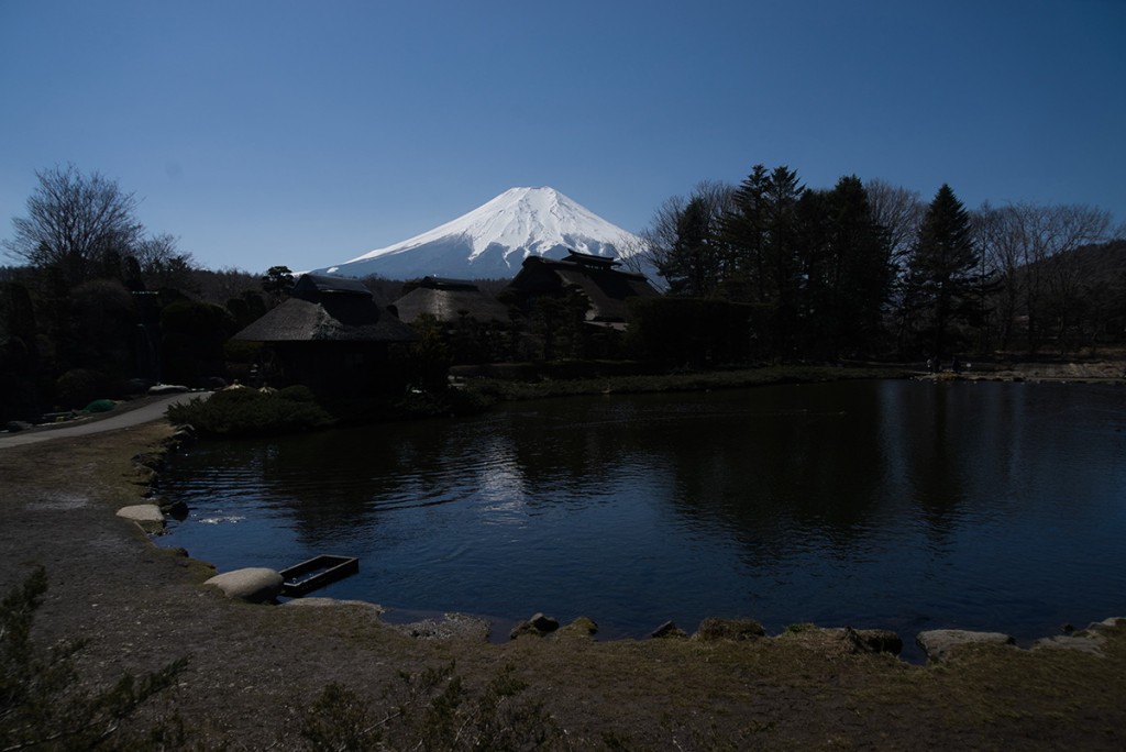 【Luminar Neo 現像ツールとは】初心者のためのアドバイスとおすすめ機能 DSC0180 1024x684 - 【Luminar Neo 現像ツールとは】初心者のためのアドバイスとおすすめ機能