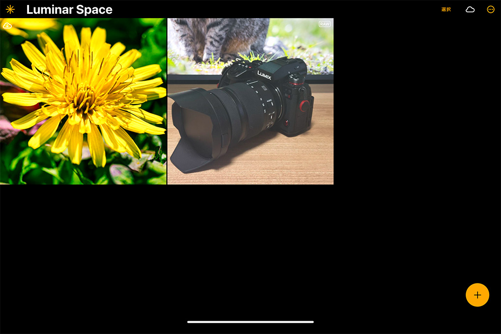 IMG 1690 - Luminar エコシステムの使い方・機能を紹介【編集同期・WEBギャラリー】|バージョン1.25